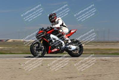 media/Mar-24-2025-2WTD (Mon) [[55b4b08488]]/A Group/12pm (Wheelie Bump)/